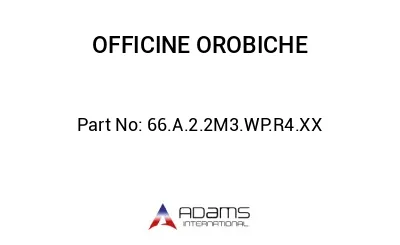 66.A.2.2M3.WP.R4.XX