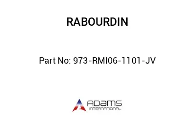 973-RMI06-1101-JV