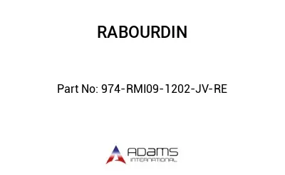 974-RMI09-1202-JV-RE