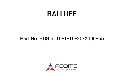 BDG 6110-1-10-30-2000-65									