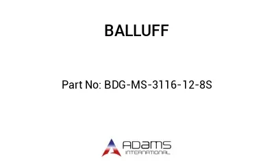 BDG-MS-3116-12-8S									