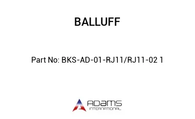 BKS-AD-01-RJ11/RJ11-02	1								