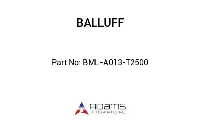 BML-A013-T2500									