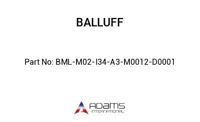 BML-M02-I34-A3-M0012-D0001									