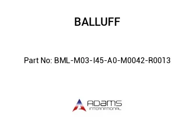 BML-M03-I45-A0-M0042-R0013									