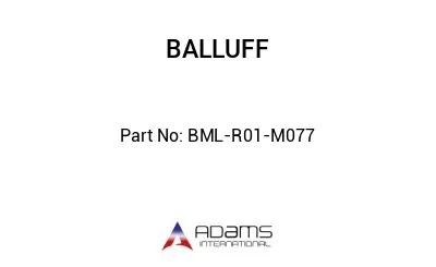BML-R01-M077									