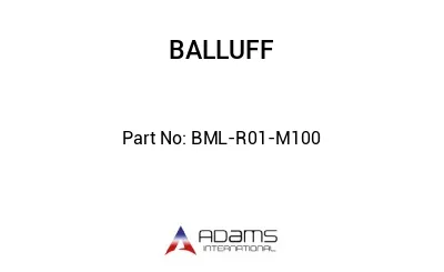 BML-R01-M100									