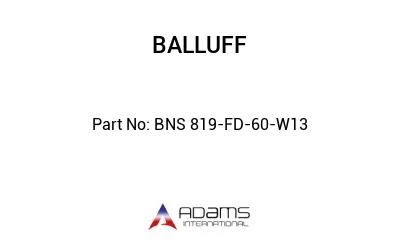 BNS 819-FD-60-W13									