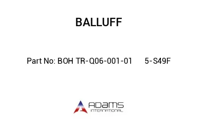 BOH TR-Q06-001-01	5-S49F								