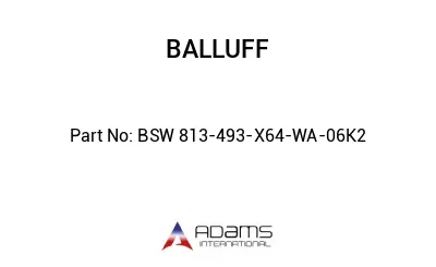 BSW 813-493-X64-WA-06K2									