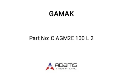 C.AGM2E 100 L 2