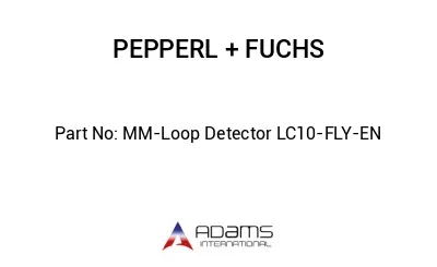 MM-Loop Detector LC10-FLY-EN