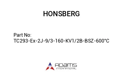 TC293-Ex-2J-9/3-160-KV1/2B-BSZ-600°C