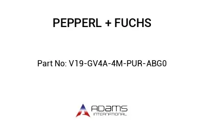 V19-GV4A-4M-PUR-ABG0