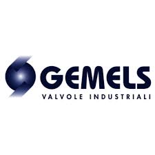 GEMELS VALVE